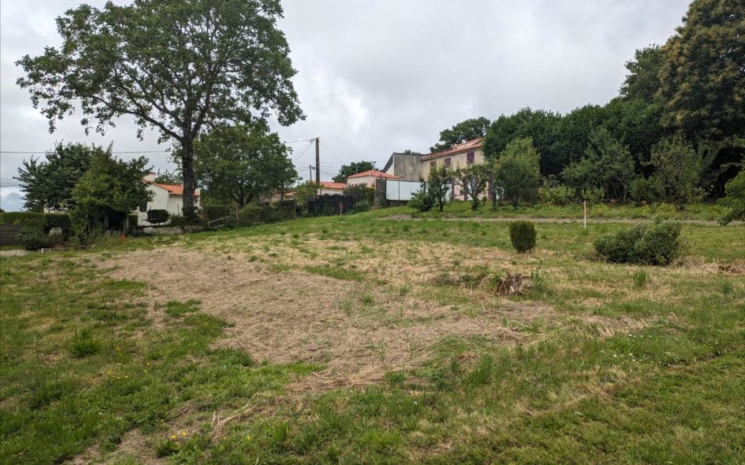 Vente Terrain – à Les Herbiers (85500)
